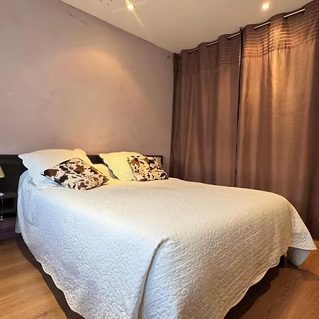 T2 Lumineux Avec Garage Et Wifi A * Aix-les-Bains