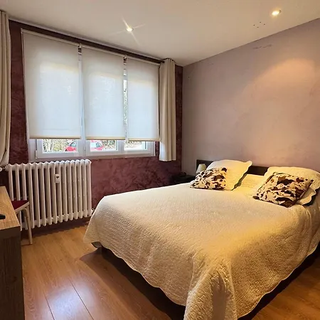 Apartamento T2 Lumineux Avec Garage Et Wifi A Aix-les-Bains